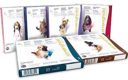 Les gouttes Stronghold contre les puces pour chiens sont considérées comme étant parmi les plus efficaces Les gouttes Stronghold contre les puces pour chiens sont considérées comme étant parmi les plus efficaces