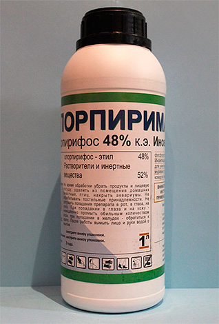 L'insecticide Chlorpyrimak - également très efficace contre les puces L'insecticide Chlorpyrimak - également très efficace contre les puces