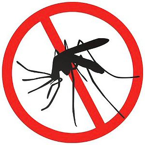 Un répulsif à ultrasons agira sur les moustiques, mais pas sur les fourmis, probablement. Un répulsif à ultrasons agira sur les moustiques, mais pas sur les fourmis, probablement.