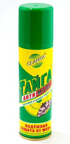 Taïga Antimol Taïga Antimol