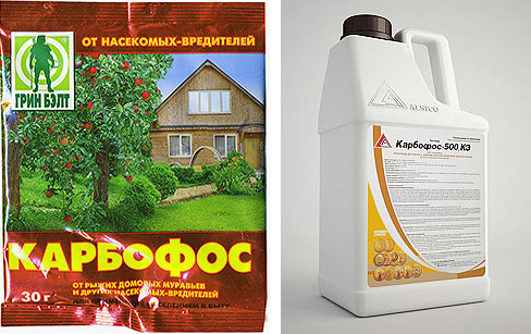 Le produit Karbofos peut être acheté aussi bien sous forme de poudre que sous forme liquide.