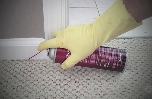 Dans l'ensemble, il existe de nombreux insecticides dont l'odeur est minimale.