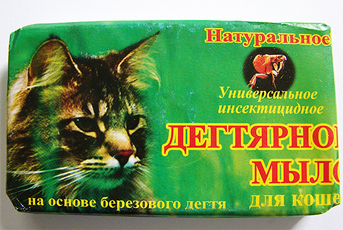 Il est préférable de combiner les remèdes maison contre les puces, comme le savon de goudron, avec des insecticides modernes