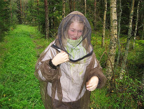 Pour éviter les piqûres d'insectes en forêt, y compris celles des puces d'élan, utilisez une moustiquaire pour la tête