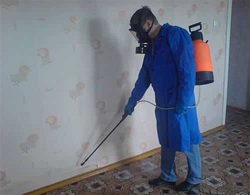 Sur la photo - un désinsectiseur professionnel lors du traitement d'un logement contre les puces