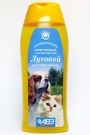 Shampoing antipuces Lougovoï