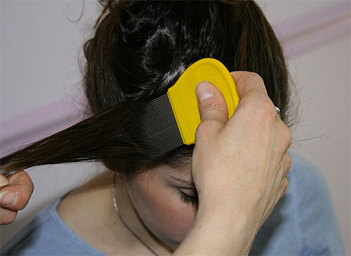 Si vous avez choisi la méthode mécanique pour retirer les lentes, vous devez peigner les cheveux très soigneusement, mèche par mèche Si vous avez choisi la méthode mécanique pour retirer les lentes, vous devez peigner les cheveux très soigneusement, mèche par mèche