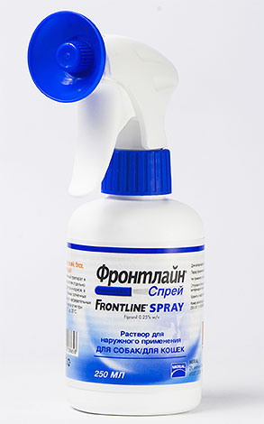 Le spray anti-puces Frontline contient l’insecticide fipronil Le spray anti-puces Frontline contient l’insecticide fipronil