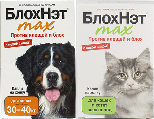 Découvrons la gamme Blokhnet pour lutter contre les puces chez les chats et les chiens