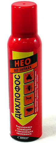 La composition du Dichlorvos Neo contient trois insecticides, et le produit n'a pas d'odeur forte La composition du Dichlorvos Neo contient trois insecticides, et le produit n'a pas d'odeur forte