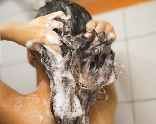 Les shampooings pédiculicides doivent être appliqués sur cheveux mouillés Les shampooings pédiculicides doivent être appliqués sur cheveux mouillés