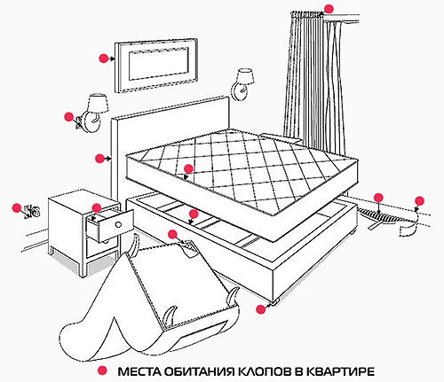 Sur l'image sont montrés les endroits de l'appartement où chercher les punaises de lit en priorité. Sur l'image sont montrés les endroits de l'appartement où chercher les punaises de lit en priorité.