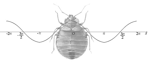 L'efficacité des répulsifs à résonance magnétique anti-punaises n'est pas plus confirmée dans la pratique que celle des répulsifs ultrasoniques L'efficacité des répulsifs à résonance magnétique anti-punaises n'est pas plus confirmée dans la pratique que celle des répulsifs ultrasoniques