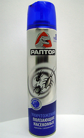Aérosol Raptor contre les insectes rampants Aérosol Raptor contre les insectes rampants