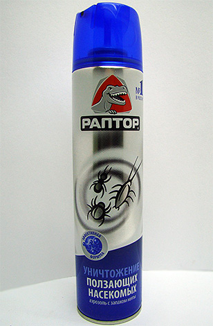 Aérosol Raptor contre les insectes rampants - efficace également contre les punaises Aérosol Raptor contre les insectes rampants - efficace également contre les punaises
