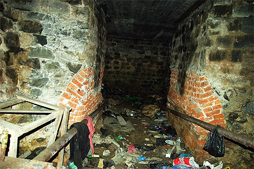 Souvent, les insectes peuvent pénétrer dans l'appartement depuis la cave de l'immeuble (puces de cave)