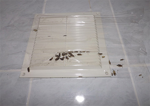 La photo montre un exemple de ventilation scellée avec du ruban adhésif par laquelle les cloportes pénétraient dans l'appartement depuis le grenier. La photo montre un exemple de ventilation scellée avec du ruban adhésif par laquelle les cloportes pénétraient dans l'appartement depuis le grenier.