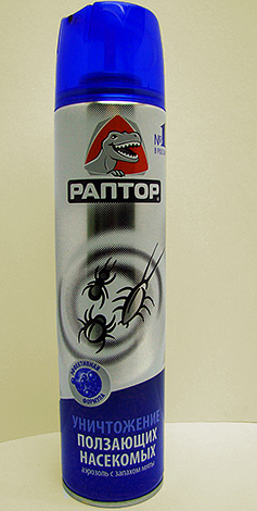 Il faut traiter le nid de fourmis domestiques et les surfaces sur lesquelles ces insectes peuvent se déplacer avec l'aérosol Raptor.