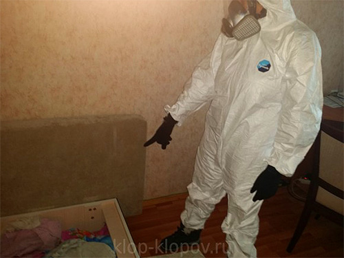 Dans l'entreprise Detsentr, en plus de la destruction des punaises de lit, nous proposons également des services d'élimination de divers types d'autres insectes et rongeurs. Dans l'entreprise Detsentr, en plus de la destruction des punaises de lit, nous proposons également des services d'élimination de divers types d'autres insectes et rongeurs.