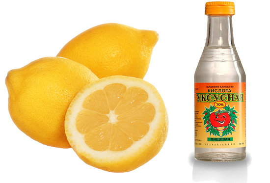 L'acide citrique et le vinaigre peuvent partiellement neutraliser le venin du frelon. L'acide citrique et le vinaigre peuvent partiellement neutraliser le venin du frelon.