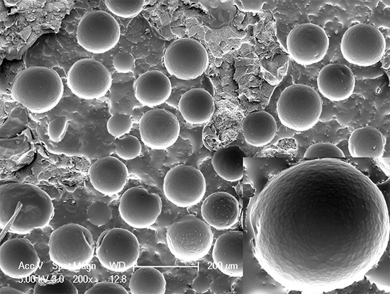Microcapsules d'un insecticide vues au microscope électronique Microcapsules d'un insecticide vues au microscope électronique