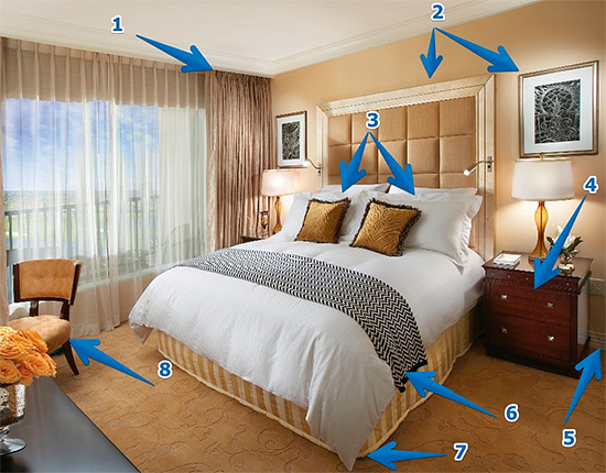 L'image montre les emplacements probables des nids de punaises de lit dans un appartement, qu'il faut traiter en priorité. L'image montre les emplacements probables des nids de punaises de lit dans un appartement, qu'il faut traiter en priorité.
