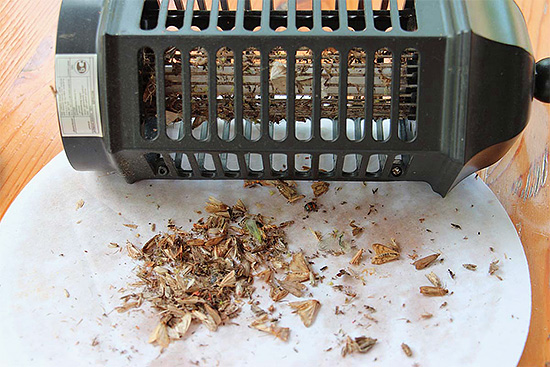 Les destructeurs à lampe seront les plus efficaces contre les insectes volants (papillons de nuit, mouches, moustiques, etc.)