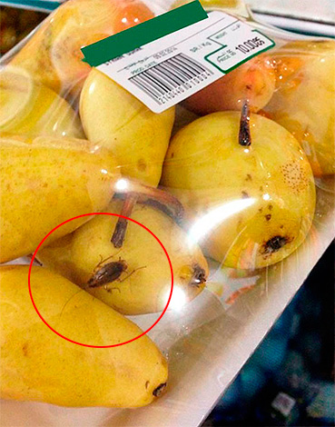 Blatte sur des fruits dans un supermarché