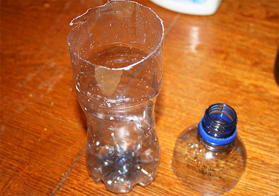 Un piège à guêpes très efficace se fabrique facilement soi-même à partir d'une simple bouteille en plastique.