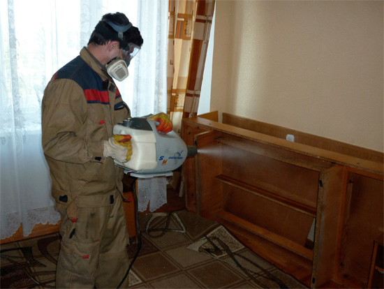 Le spécialiste en désinsectisation sait parfaitement quels endroits de l'appartement traiter en priorité pour éliminer les punaises de lit à coup sûr. Le spécialiste en désinsectisation sait parfaitement quels endroits de l'appartement traiter en priorité pour éliminer les punaises de lit à coup sûr.