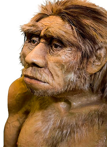 Neandertaler