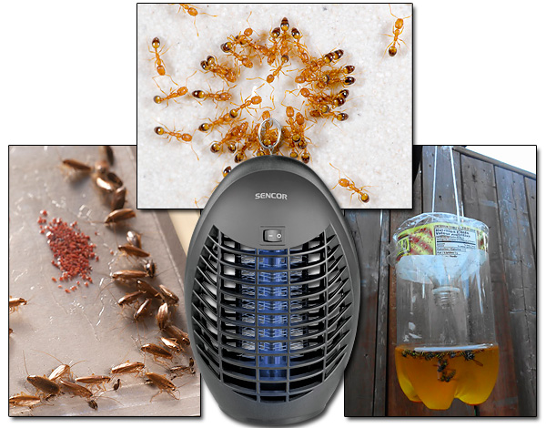 Nous découvrons quels types de pièges à insectes existent et dans quels cas leur utilisation donne réellement un bon résultat...