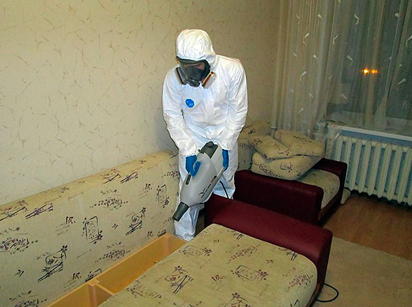 S'il n'est pas possible de se débarrasser des suceurs de sang par ses propres moyens, on peut toujours faire appel à un service de désinsectisation spécialisé pour éliminer les punaises de lit. S'il n'est pas possible de se débarrasser des suceurs de sang par ses propres moyens, on peut toujours faire appel à un service de désinsectisation spécialisé pour éliminer les punaises de lit.