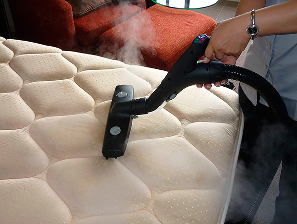 Le traitement du matelas avec un nettoyeur vapeur permet d'éliminer assez efficacement les punaises et leurs œufs. Le traitement du matelas avec un nettoyeur vapeur permet d'éliminer assez efficacement les punaises et leurs œufs.
