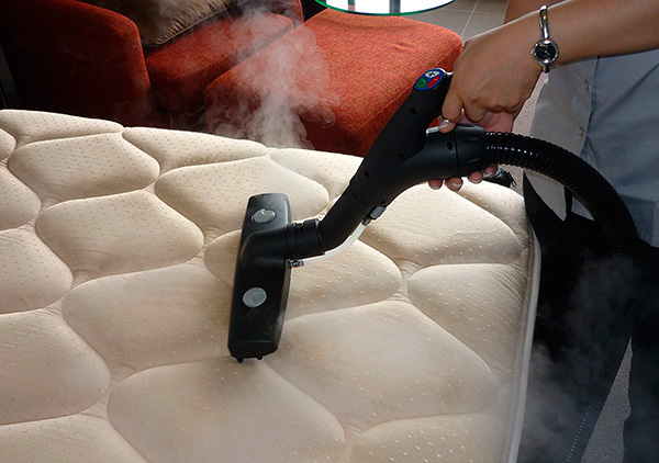 Pour éliminer les punaises et leurs œufs dans le matelas, vous pouvez le traiter à la vapeur chaude, par exemple avec un défroisseur. Pour éliminer les punaises et leurs œufs dans le matelas, vous pouvez le traiter à la vapeur chaude, par exemple avec un défroisseur.