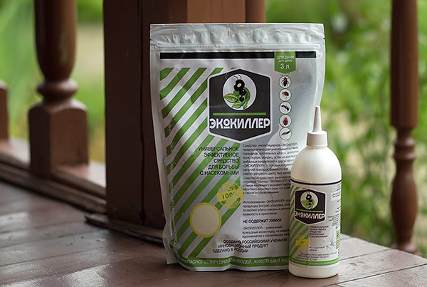 La poudre insecticide Ecokiller détruit efficacement non seulement les cafards, mais aussi de nombreux autres insectes nuisibles et parasites. La poudre insecticide Ecokiller détruit efficacement non seulement les cafards, mais aussi de nombreux autres insectes nuisibles et parasites.