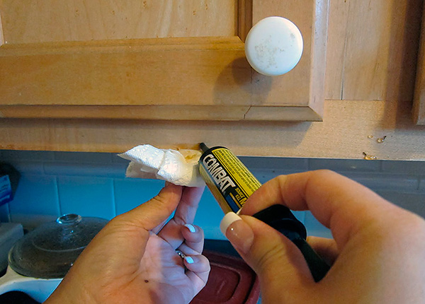 Gel insecticide Combat