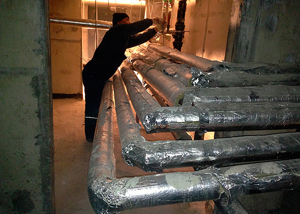 En été, les plombiers dans les caves des immeubles attrapent souvent des dizaines de puces sur leurs vêtements. En été, les plombiers dans les caves des immeubles attrapent souvent des dizaines de puces sur leurs vêtements.