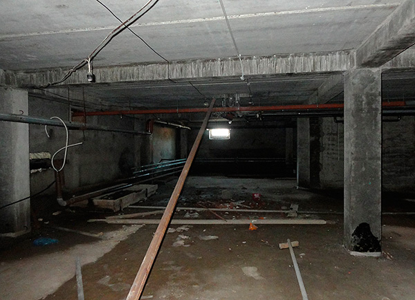 En été, les sous-sols des immeubles d'habitation abritent souvent des hordes de puces. En été, les sous-sols des immeubles d'habitation abritent souvent des hordes de puces.
