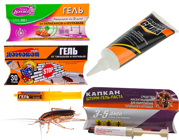 Examinons les propriétés et les subtilités d'utilisation de certains gels anti-cafards populaires (Domovoï-Prochka, Kapkan, Killer et certains autres...) Examinons les propriétés et les subtilités d'utilisation de certains gels anti-cafards populaires (Domovoï-Prochka, Kapkan, Killer et certains autres...)