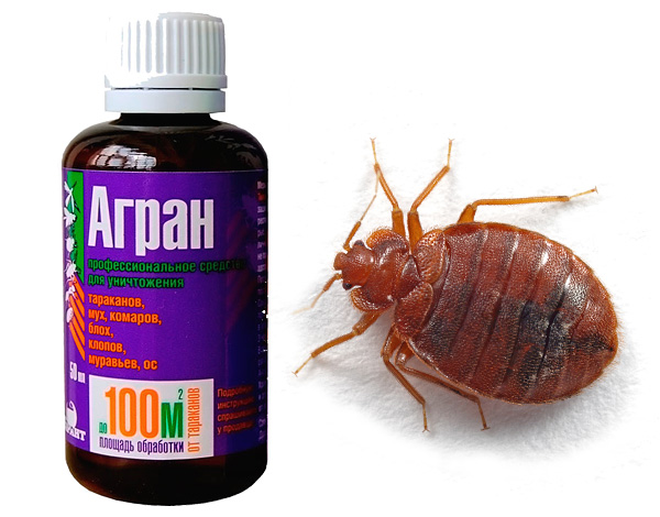 Le produit insecticide Agran est-il vraiment capable d'éliminer efficacement les punaises de lit ?..