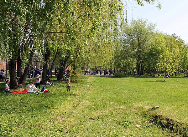 La morsure d'une tique borréliosique peut survenir non seulement en forêt, mais aussi dans les parcs et squares urbains. La morsure d'une tique borréliosique peut survenir non seulement en forêt, mais aussi dans les parcs et squares urbains.