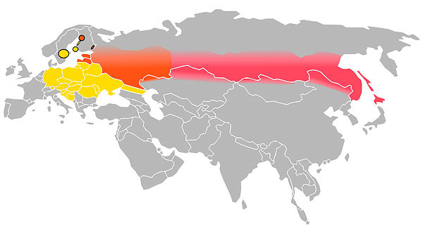 La couleur jaune indique la zone de propagation du sérotype européen du virus de l'encéphalite à tiques, le rose celui du sérotype asiatique, et le rouge la zone mixte. La couleur jaune indique la zone de propagation du sérotype européen du virus de l'encéphalite à tiques, le rose celui du sérotype asiatique, et le rouge la zone mixte.