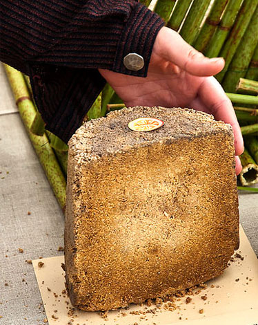 Un morceau de fromage endommagé par les acariens. Un morceau de fromage endommagé par les acariens.