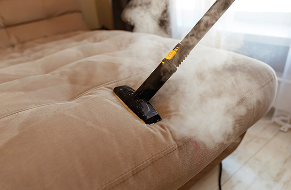 La vapeur chaude d'un nettoyeur vapeur peut chauffer le tissu en profondeur, détruisant efficacement les acariens et leurs œufs. La vapeur chaude d'un nettoyeur vapeur peut chauffer le tissu en profondeur, détruisant efficacement les acariens et leurs œufs.