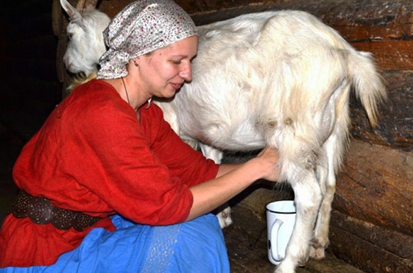 La contamination par l'encéphalite à tiques peut également se produire lors de la consommation de lait cru de chèvre ou de vache. La contamination par l'encéphalite à tiques peut également se produire lors de la consommation de lait cru de chèvre ou de vache.
