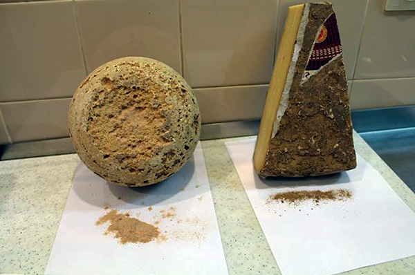 Fromage endommagé par l'acarien du fromage