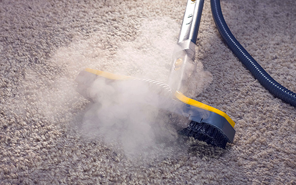 Traitement du tapis avec un nettoyeur vapeur.