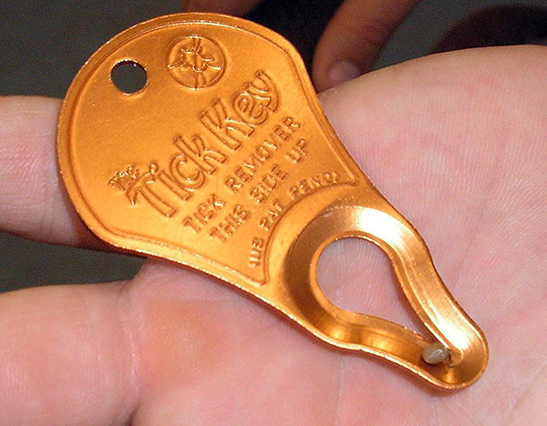 Extracteur de tiques Tick Key Extracteur de tiques Tick Key