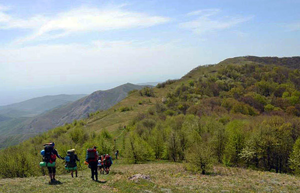 Les personnes les plus exposées sont celles qui séjournent longtemps en forêt dans une région épidémiologiquement défavorable.